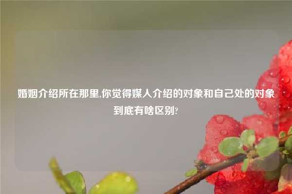 婚姻介绍所在那里,你觉得媒人介绍的对象和自己处的对象到底有啥区别?